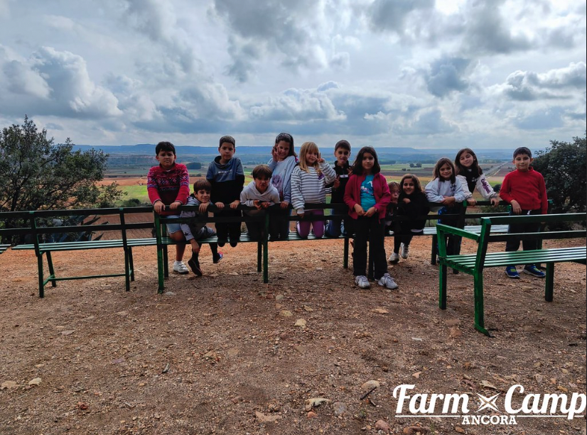 Semana de inmersión lingüística en Farm Camp Mohernando
