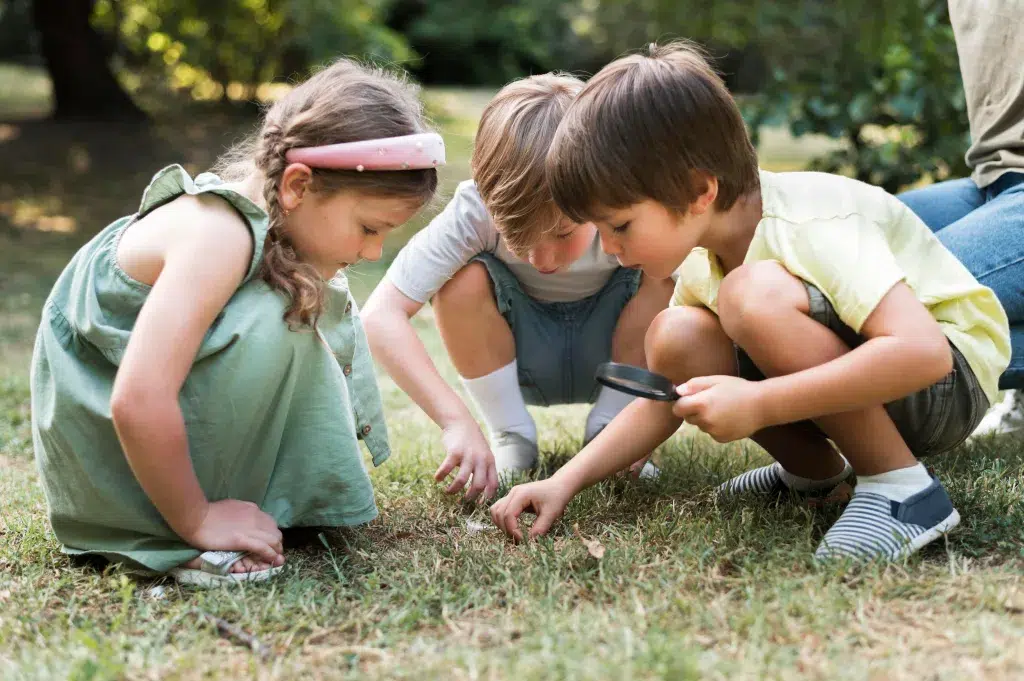 Actividades de verano
